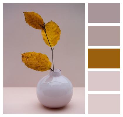 Leaves Deocration Design Autumn Display Fall Vase Still Life Minimalist Image